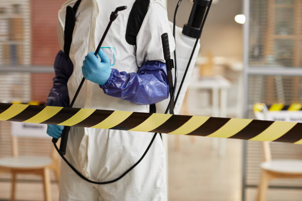 Professional Sewage Cleanup technician working in Niantic, CT
